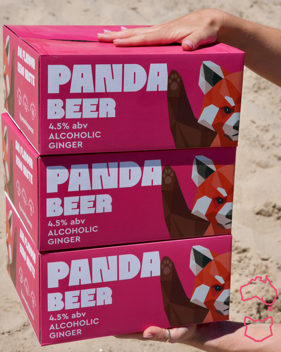 PANDA BEER (16 PACK)