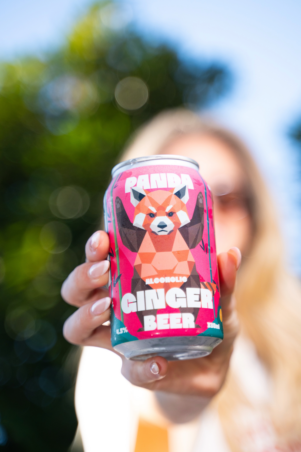 PANDA BEER (16 PACK)
